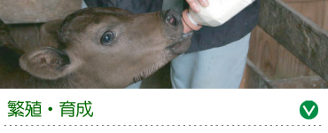 繁殖・育成